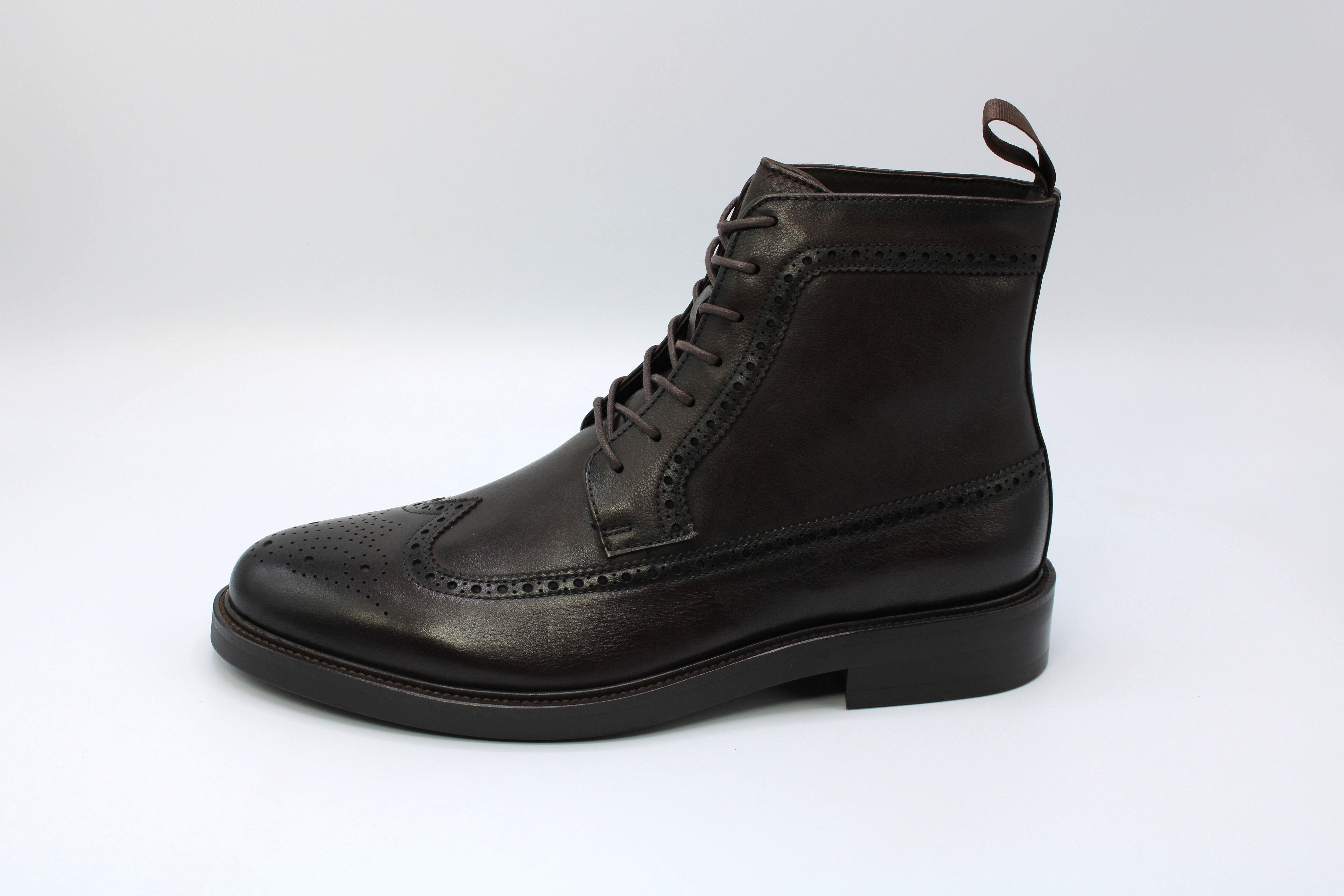 John White Falcon Brown