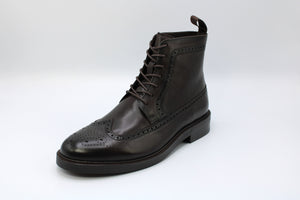 John White Falcon Brown