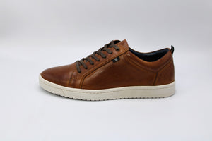 Roamers M799BT Brown